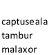 captuseala  tambur  malaxor