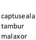 captuseala  tambur  malaxor