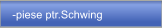 -piese ptr.Schwing